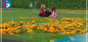 Proyectan construir tres parques ecológicos para beneficio de niños y adultos en San Juan de Miraflores