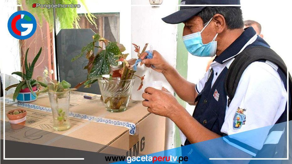 Aumentarán número de brigadas para combatir el dengue casa por casa en Lambayeque