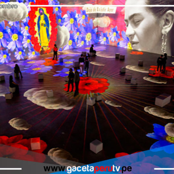 Llegará a EUA la muestra “Frida Kahlo, la vida de un ícono”