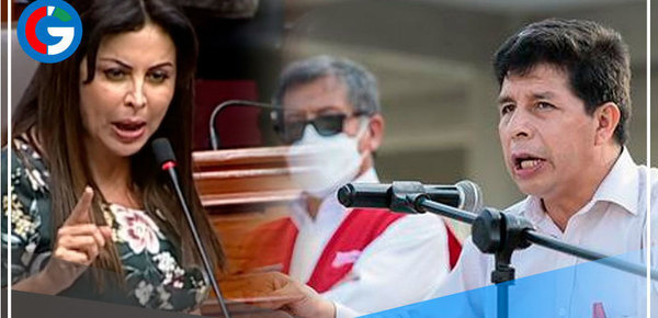 Congresista presenta denuncia constitucional contra Pedro Castillo