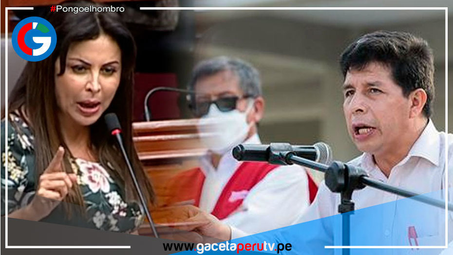 Congresista presenta denuncia constitucional contra Pedro Castillo