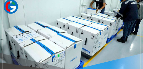 Minsa recibe más de medio millón de dosis para continuar con vacunación 