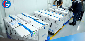 Minsa recibe más de medio millón de dosis para continuar con vacunación 