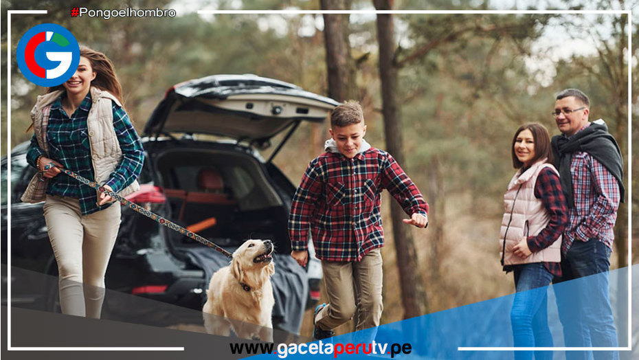 Cuatro recomendaciones para viajar con tu mascota