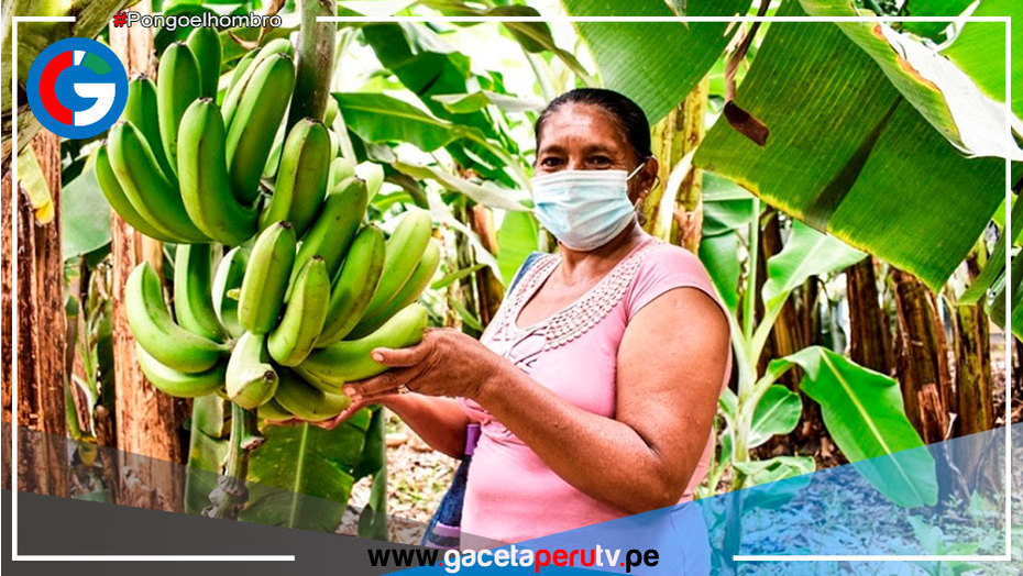 Aprueban medidas ante nuevas restricciones de UE para exportar productos orgánicos