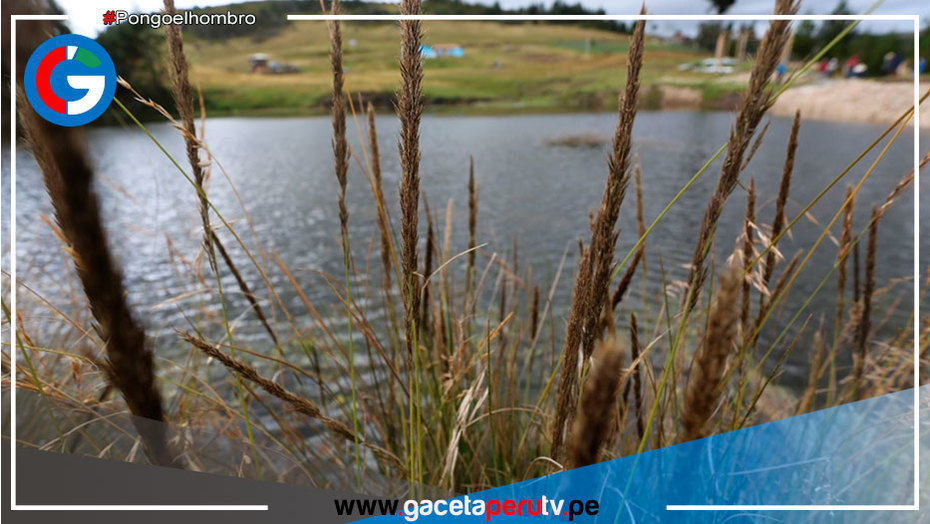 Cajamarca: Crean el mecanismo de retribución por agua Cuenca Verde
