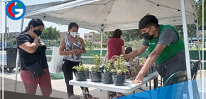 Los Olivos: Reciclaje responsable para nuestro medio ambiente