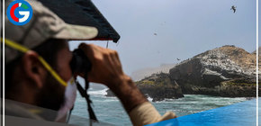 Culminan limpieza y entregan 28 playas a las autoridades para su evaluación 