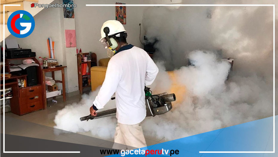 Fumigarán 1,800 viviendas en Picsi para erradicar zancudo transmisor del dengue en Lambayeque