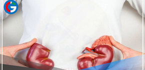 Ofrecen órganos humanos a través de redes sociales