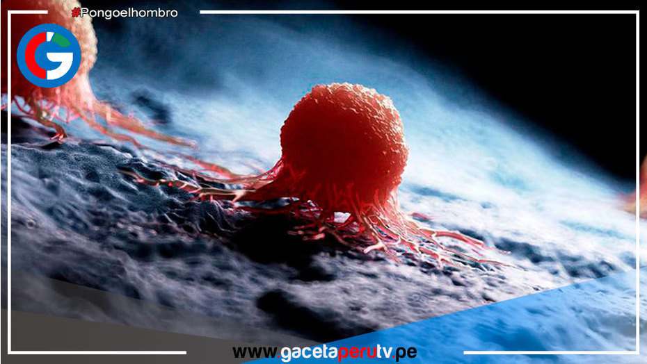 Hallan anticuerpo que previene la metástasis en enfermos de cáncer