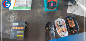 Decomisan 10 ejemplares de mantis que eran enviados a China en forma ilegal 