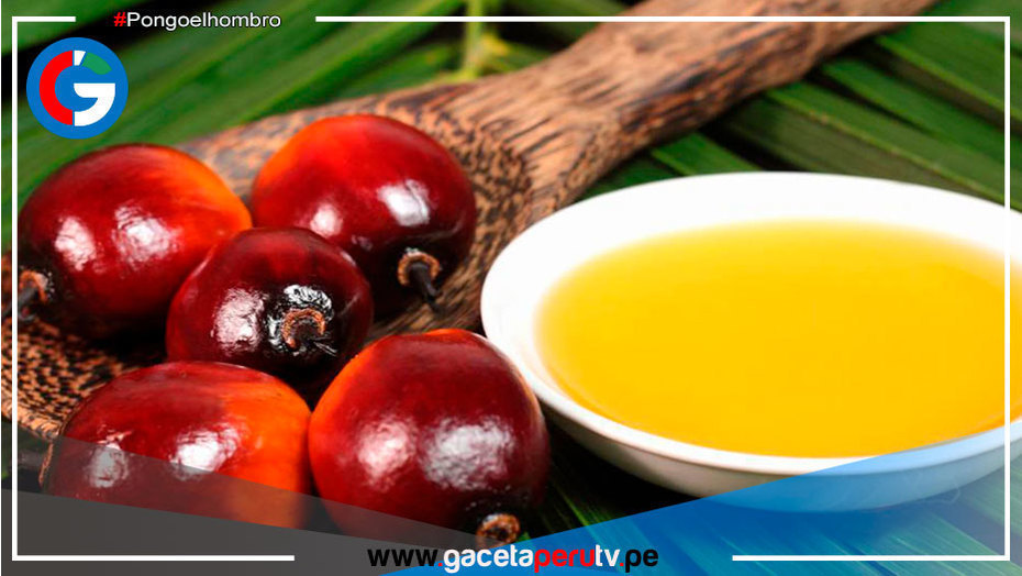 Suspenden exportaciones y pone en alerta al m ercado global de aceites vegetales en Indonesia