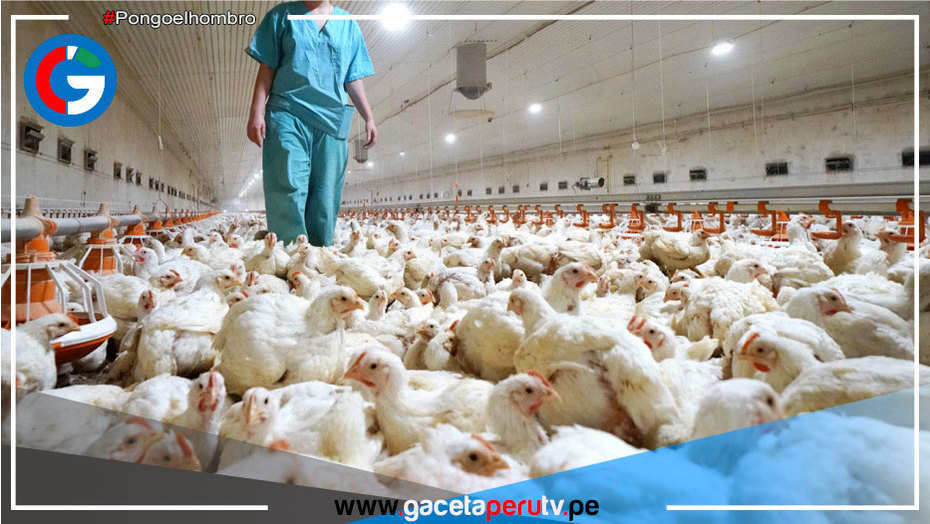 Estados Unidos: Confirman primer caso reciente de gripe aviar H7N2 en humanos