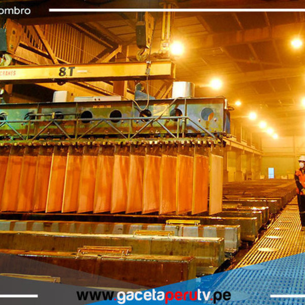 ¿Cuáles serían los efectos del conflicto Rusia-Ucrania en Perú y la región ? 