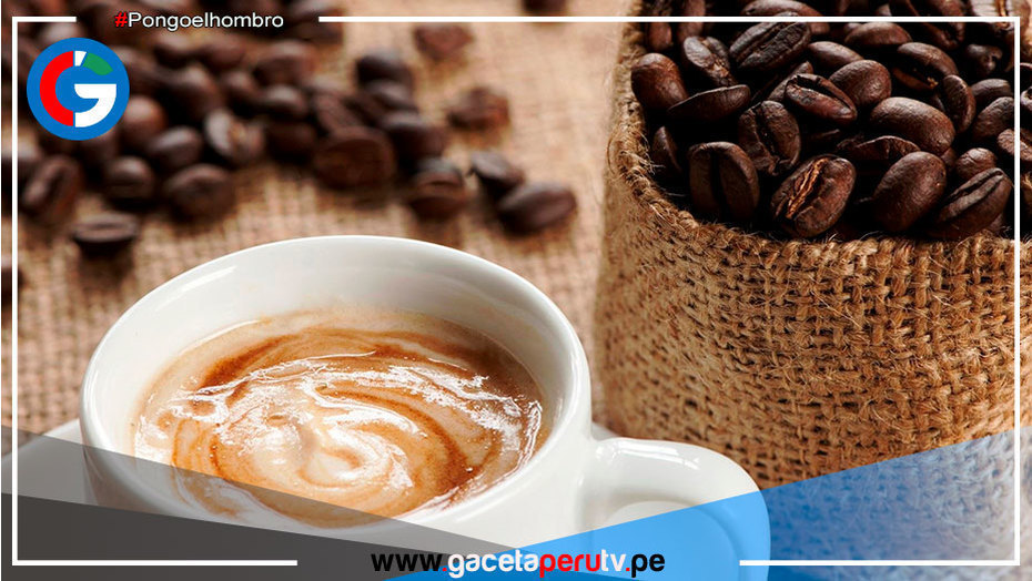 ¿Qué tan saludable es tomar una taza de café al día?