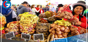 El proyecto del Ejecutivo para exonerar IGV a alimentos básicos 