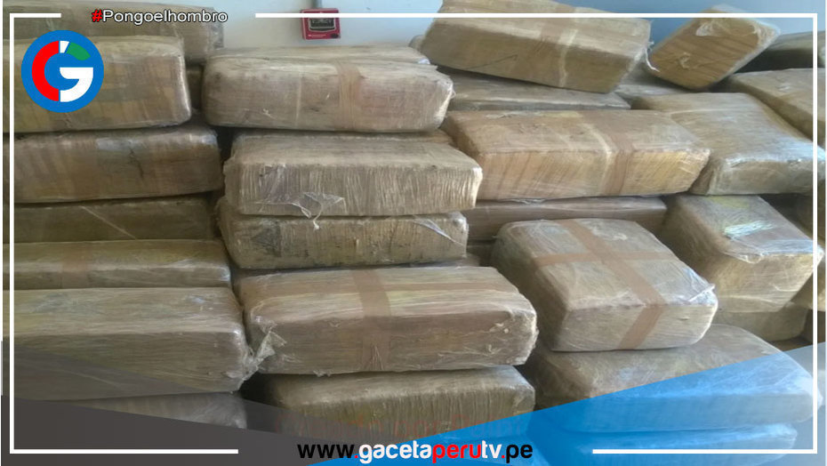 Dirandro: Más de 23 toneladas de droga fueron decomisadas en los últimos 100 días