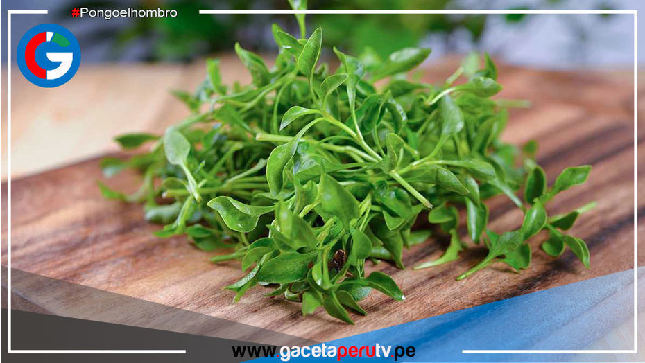 Superalimento que aporta colágeno y es fuente de vitaminas