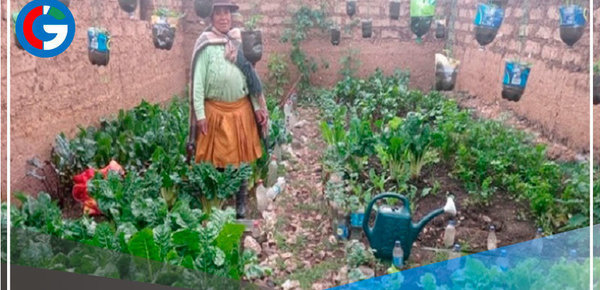 Invertirán más de S/ 10 millones para implementar fitotoldos en 13 regiones 