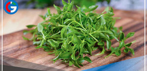 Superalimento que aporta colágeno y es fuente de vitaminas