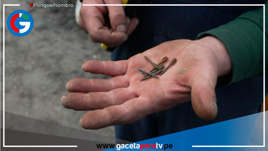 Letales proyectiles rusos de dardos usados en la guerra