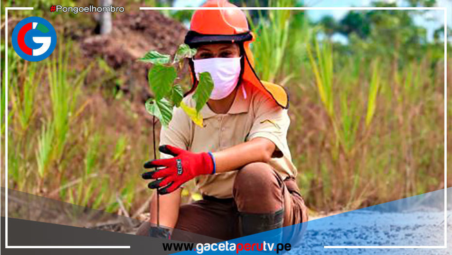 Aprueban Estrategia de Lucha contra la Minería Ilegal en Áreas Naturales Protegidas