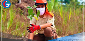 Aprueban Estrategia de Lucha contra la Minería Ilegal en Áreas Naturales Protegidas 