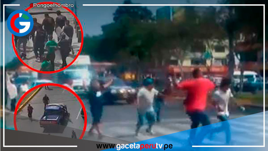 San Borja: Cámara de seguridad registra actos vandálicos