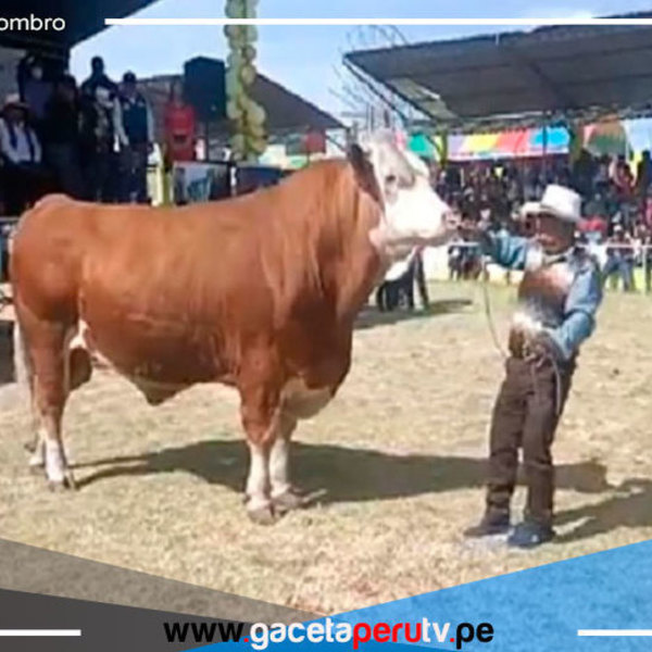 Puno: Invierten más de S/ 173 millones para apoyar sectores ganadero e hídrico 