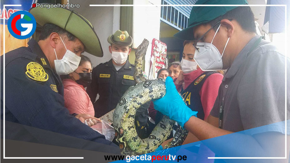 Incautan partes de animales silvestres que eran vendidas en el distrito de La Victoria