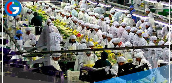 ¿Cómo afecta la nueva ley laboral a trabajadores y empresas?