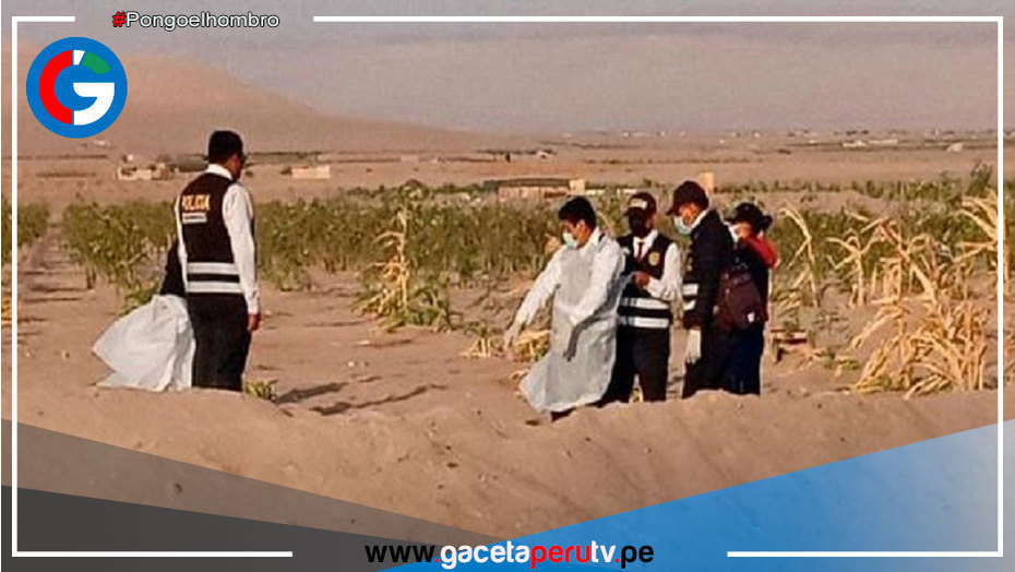 Tacna: Dos hombres son enterrados en chacra, maniatados y torturados