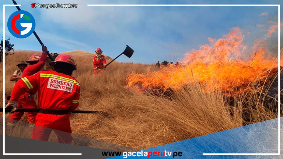 El 95 % de los incendios forestales se originan por causas humanas