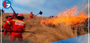 El 95 % de los incendios forestales se originan por causas humanas 