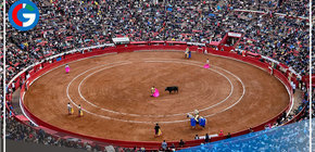 México prohíbe las corridas de toro