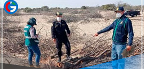 Piura: Fiscalía interviene a 6 personas y decomisa equipos de tala ilegal 