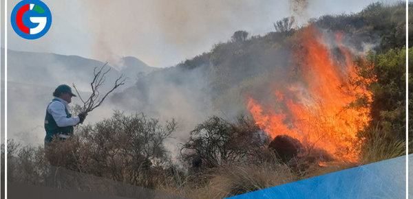 Aumento de días sin lluvia contribuiría a la ocurrencia de incendios forestales 