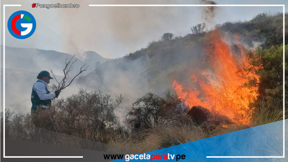 Aumento de días sin lluvia contribuiría a la ocurrencia de incendios forestales