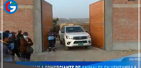 Robaron y mataron a una vendedora de animales