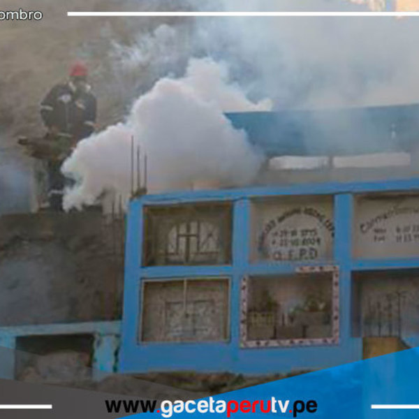 Villa María del Triunfo: Intervienen cementerio más grande de Latinoamérica para prevenir y controlar dengue 