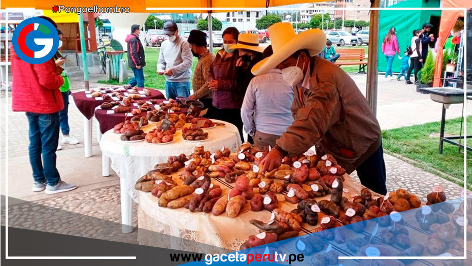 Productores de Cajamarca celebrarán su efeméride con feria agropecuaria