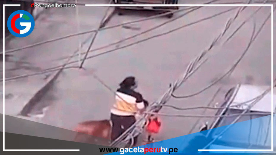 Mujer fue atacada por un pitbull, el dueño del perro no se hizo cargo del costo del tratamiento