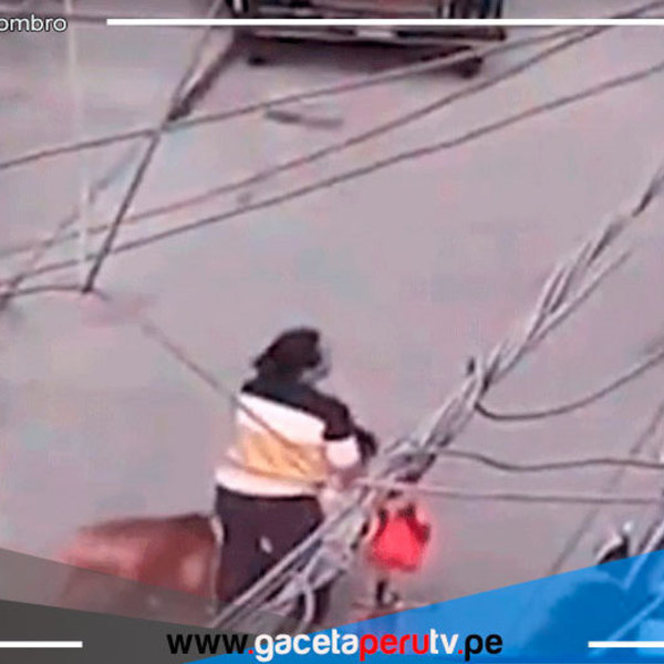 Mujer fue atacada por un pitbull, el dueño del perro no se hizo cargo del costo del tratamiento