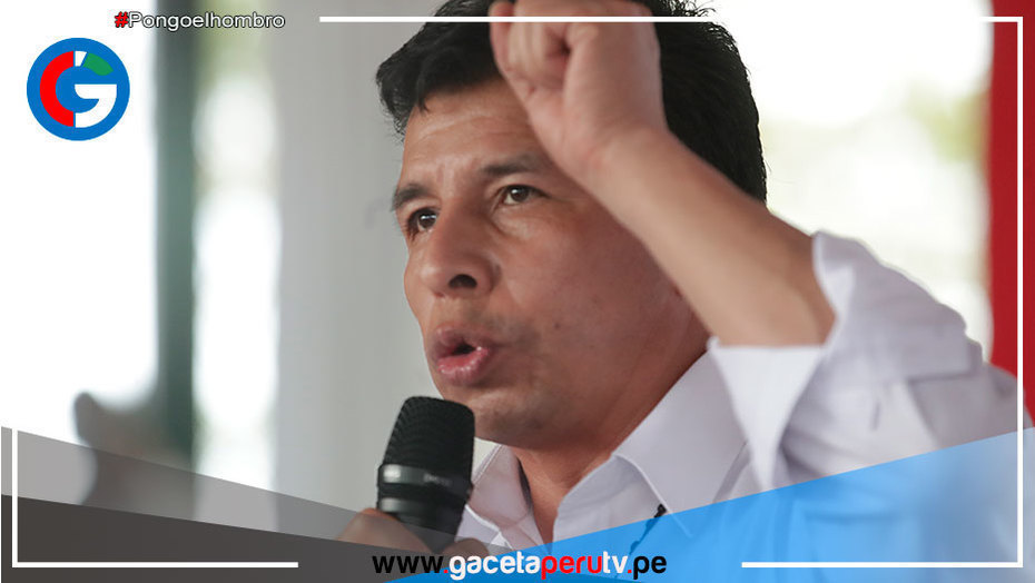 Presidente Castillo solicitó al Poder Judicial que ordene anular la investigación de la Fiscalía en su contra