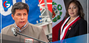 Congresista Francis Paredes: “Pedro Castillo estará dando una Conferencia de Prensa en los próximos días”