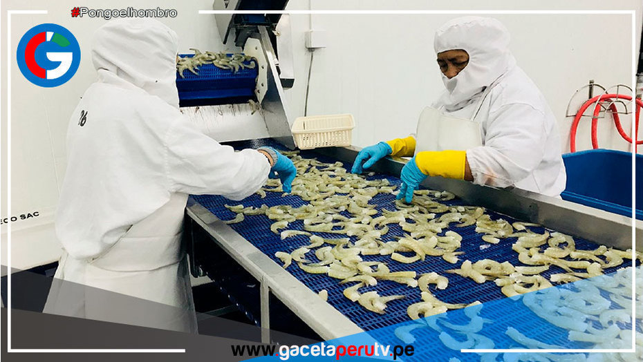Buscan dinamizar comercio bilateral Perú-Ecuador
