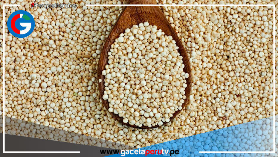 Apurímac: Financian investigación que propone impulsar consumo del nutritivo basul