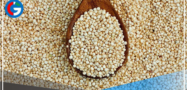 Apurímac: Financian investigación que propone impulsar consumo del nutritivo basul