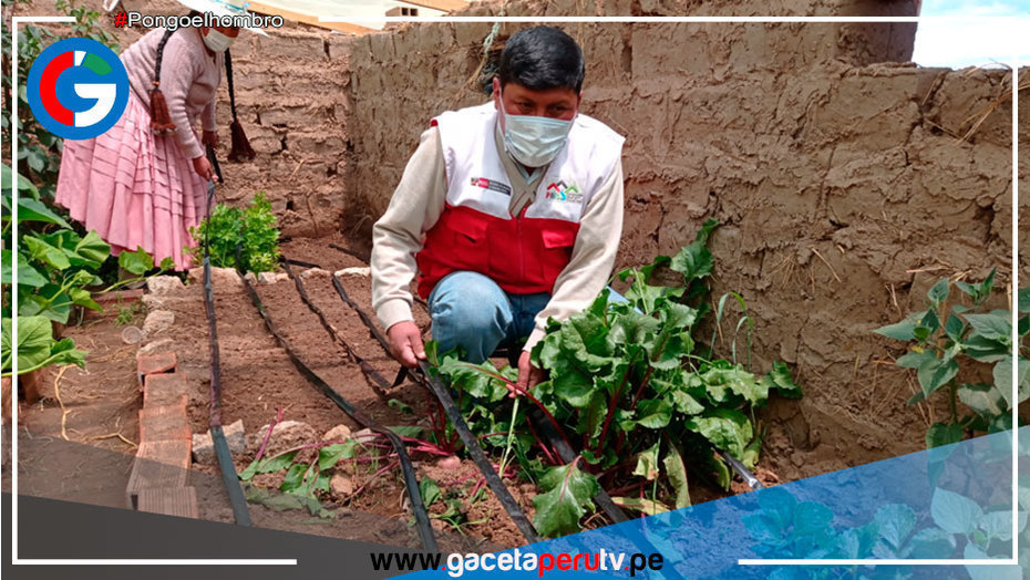 Agricultores puneños interpretan señales del clima para reducir impacto de sequías